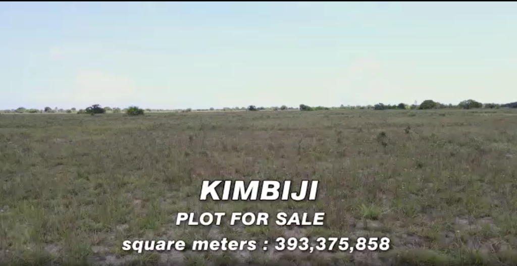 Land for sale 97 acres Kimbiji Tanzania